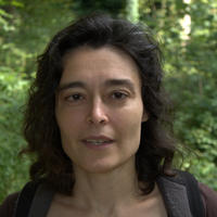 Dr. Mihaela Duta
